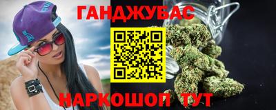 сатива Гатчина
