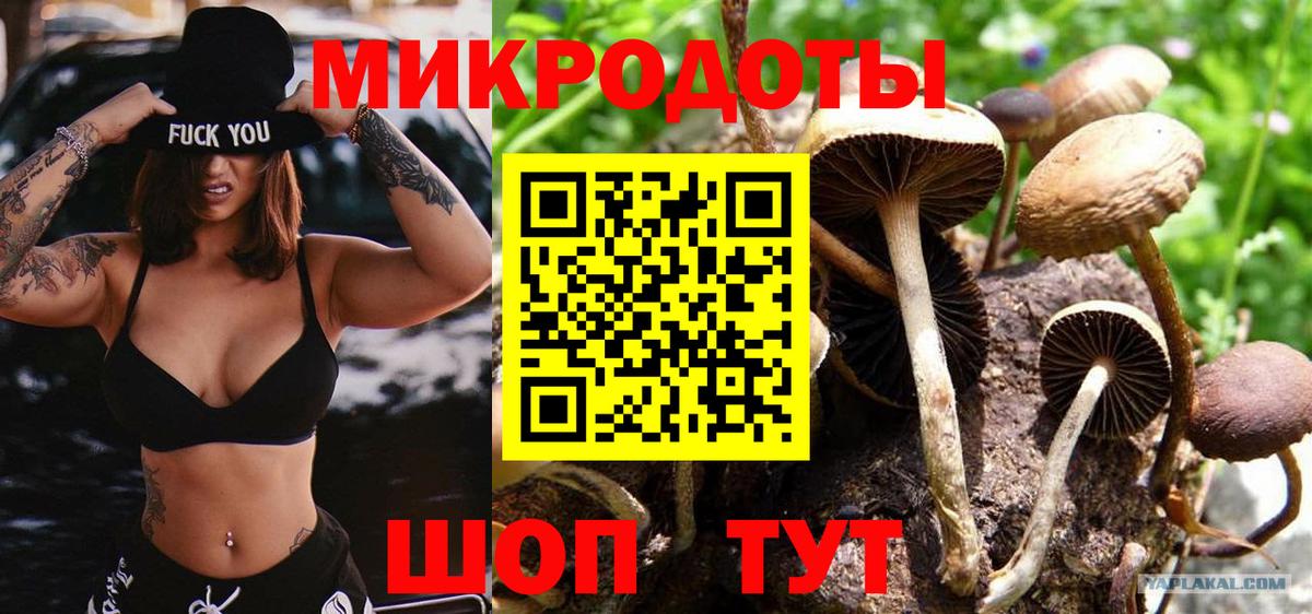 Красноармейск  Псилоцибиновые грибы Cubensis  Вход с VPN 