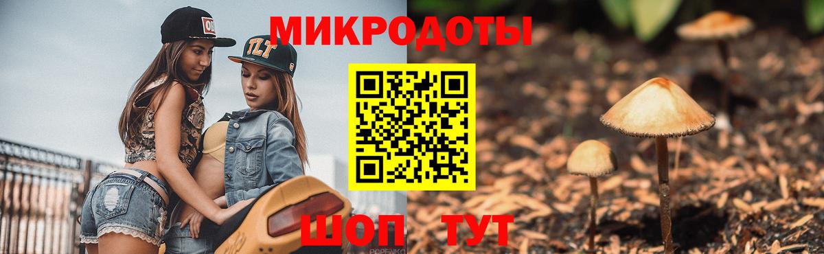 Галлюциногенные грибы ЛСД Красноармейск